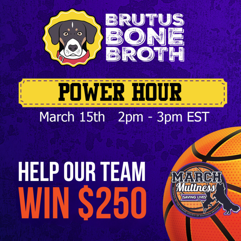 March Muttness Social Media Assets Donor Charm